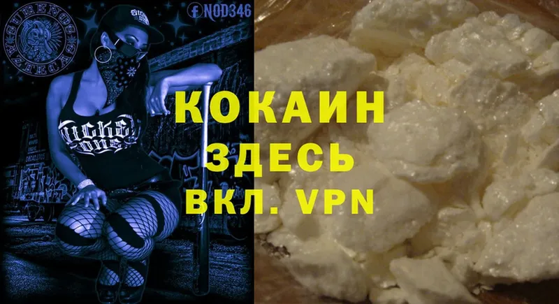 продажа наркотиков  Каргополь  COCAIN Fish Scale 